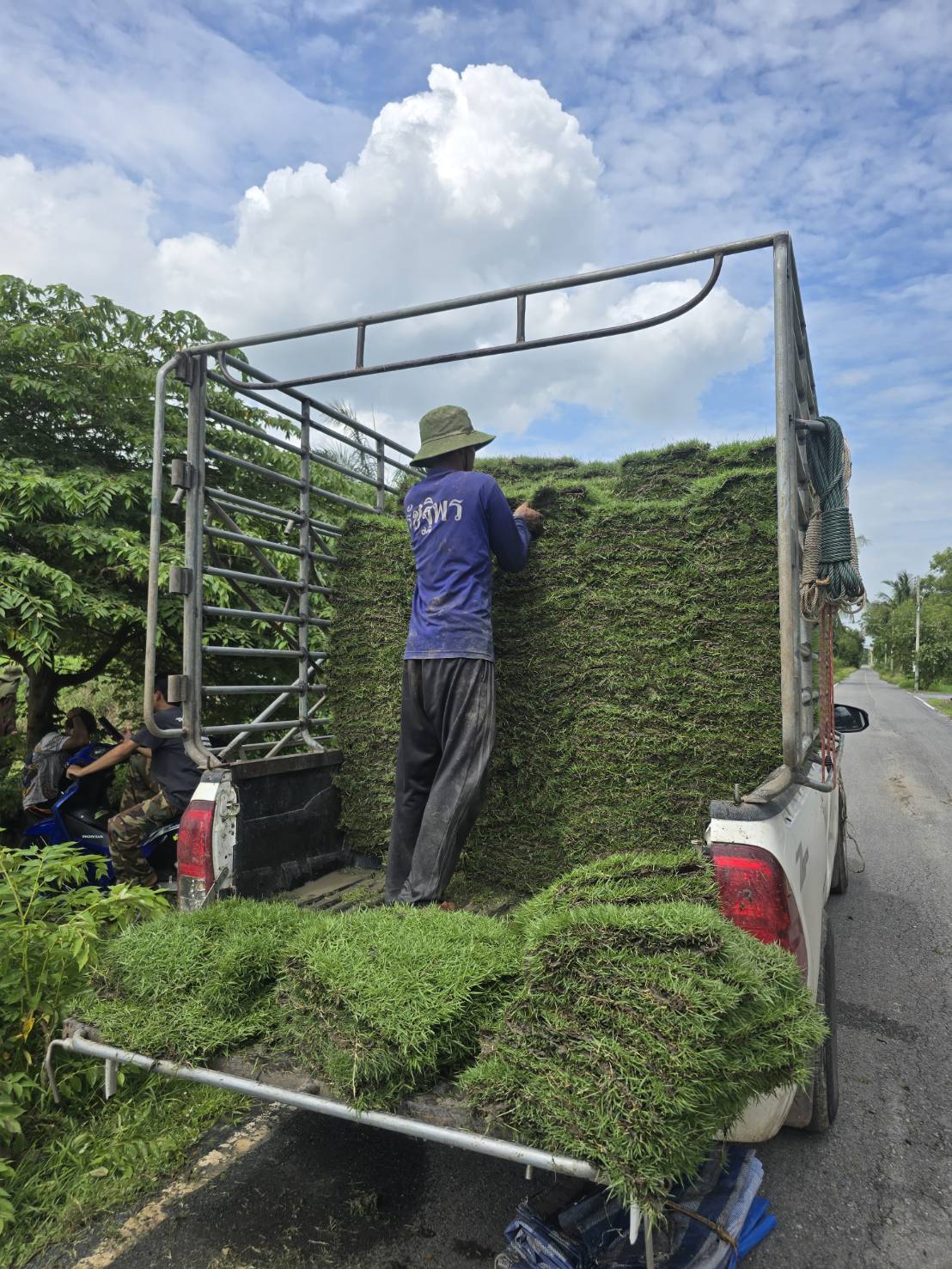 ภาพหลัก